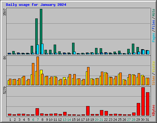 Daily usage for January 2024