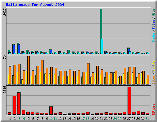 Daily usage for August 2024