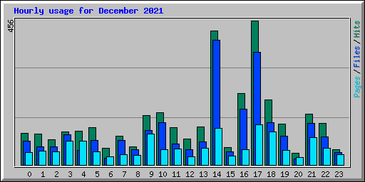 Hourly usage for December 2021