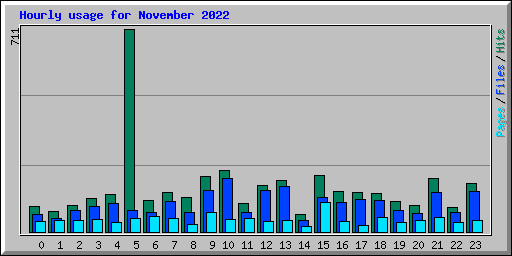Hourly usage for November 2022