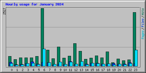 Hourly usage for January 2024