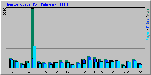 Hourly usage for February 2024