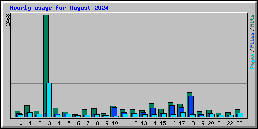 Hourly usage for August 2024