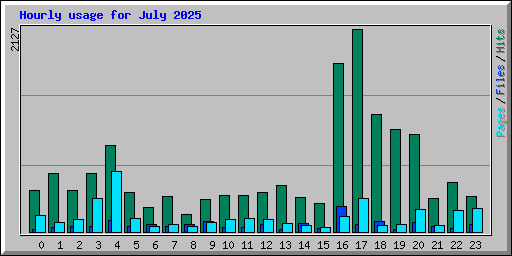 Hourly usage for July 2025