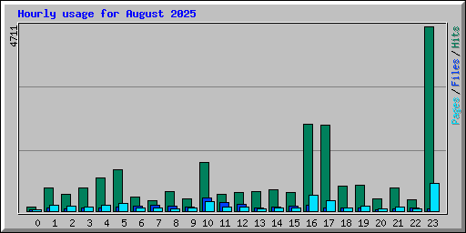 Hourly usage for August 2025